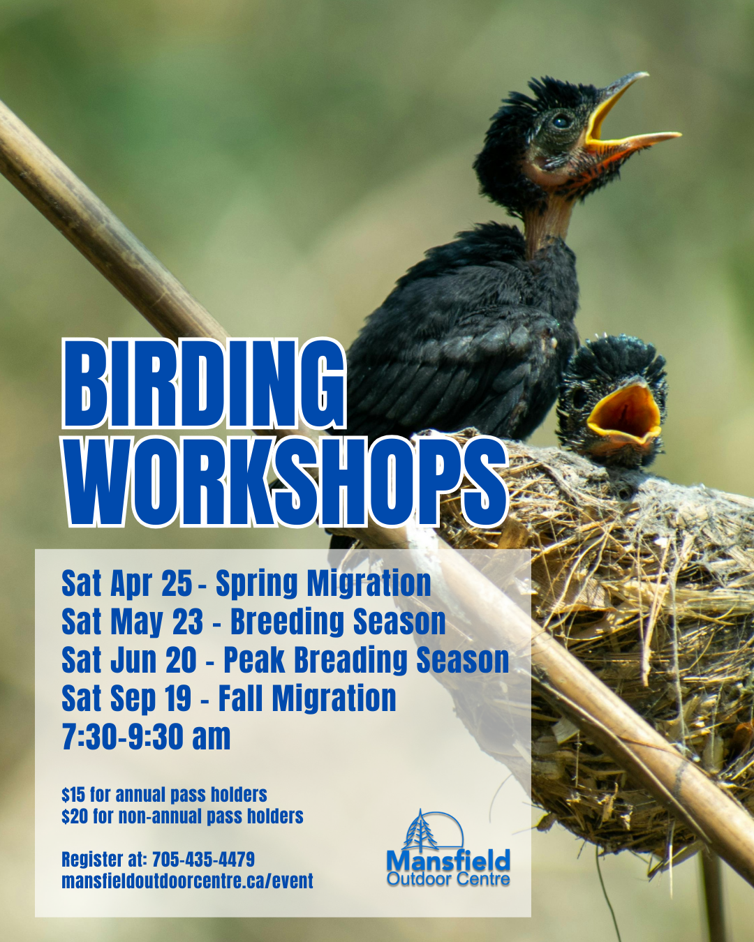 2d6c2b638a8ea3eb58aa8f2032ef29daae914d9b.png (1080×1350)