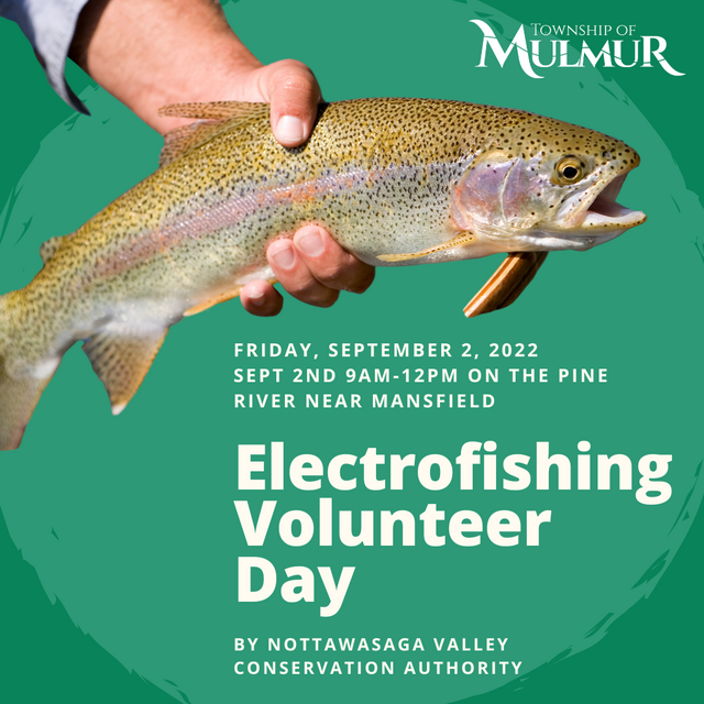 electrofishing-1.png?set=content_medium
