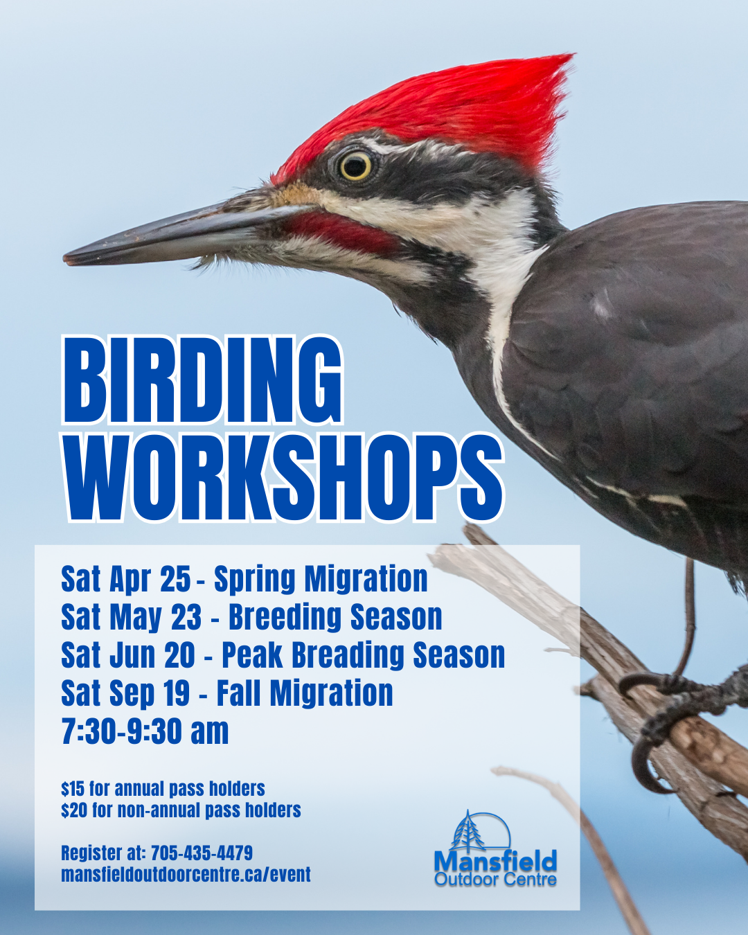 d42c1cc2c4725606b994d8280a5f11bf1d45820a.png (1080×1350)