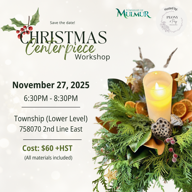 2025-christmas-centrepiece-2.png?set=con