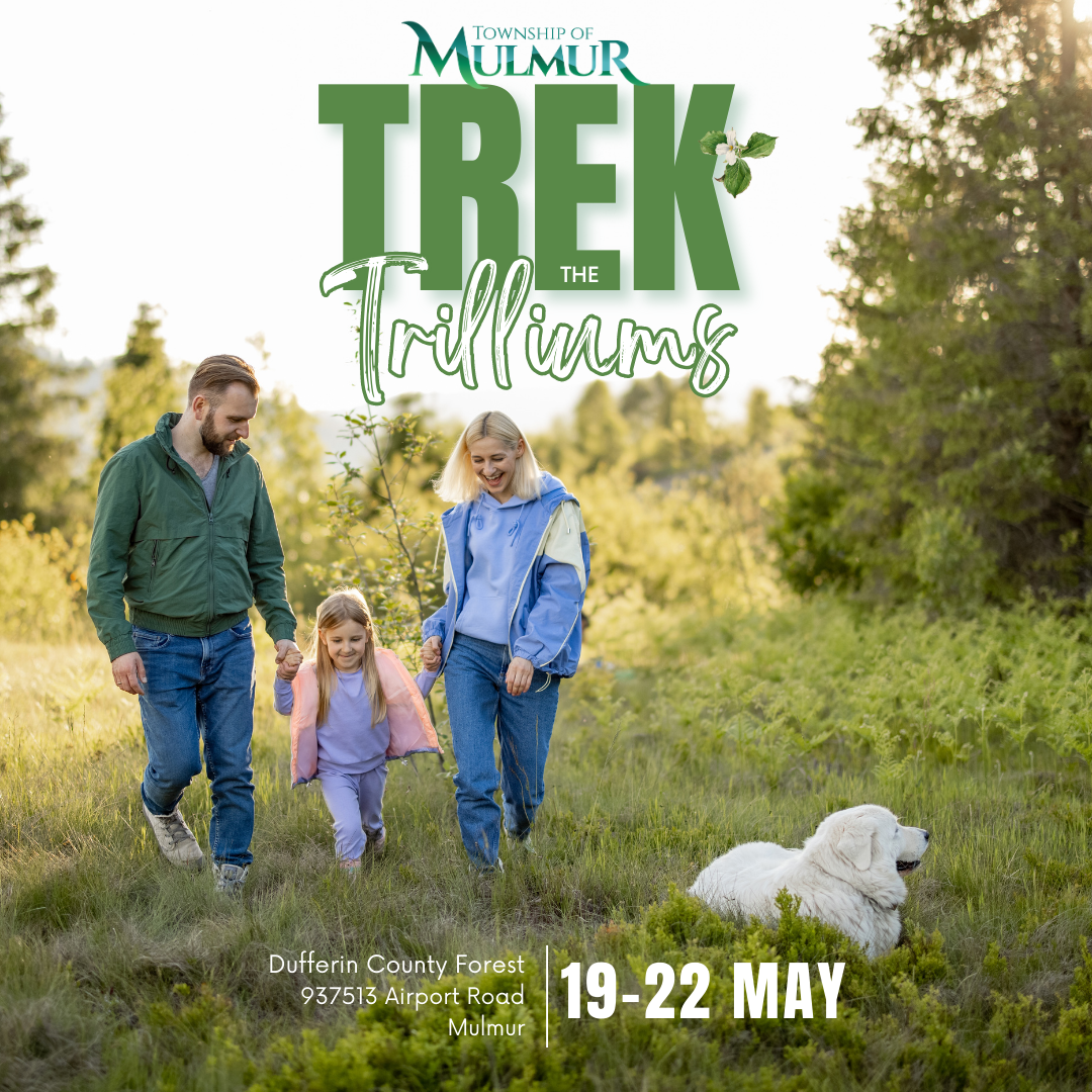 trek-the-trilliums-poster-8.5-%C3%97-11-