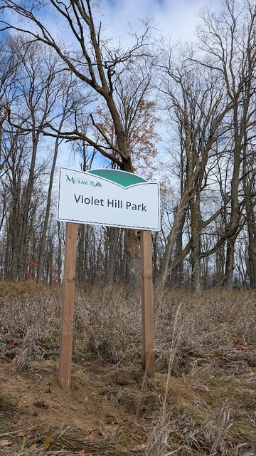 pxl_20251106_171337389.raw-01.cover.jpg?